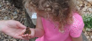 Lost River Cave Annual Butterfly Celebration - young girl holding a butterfly