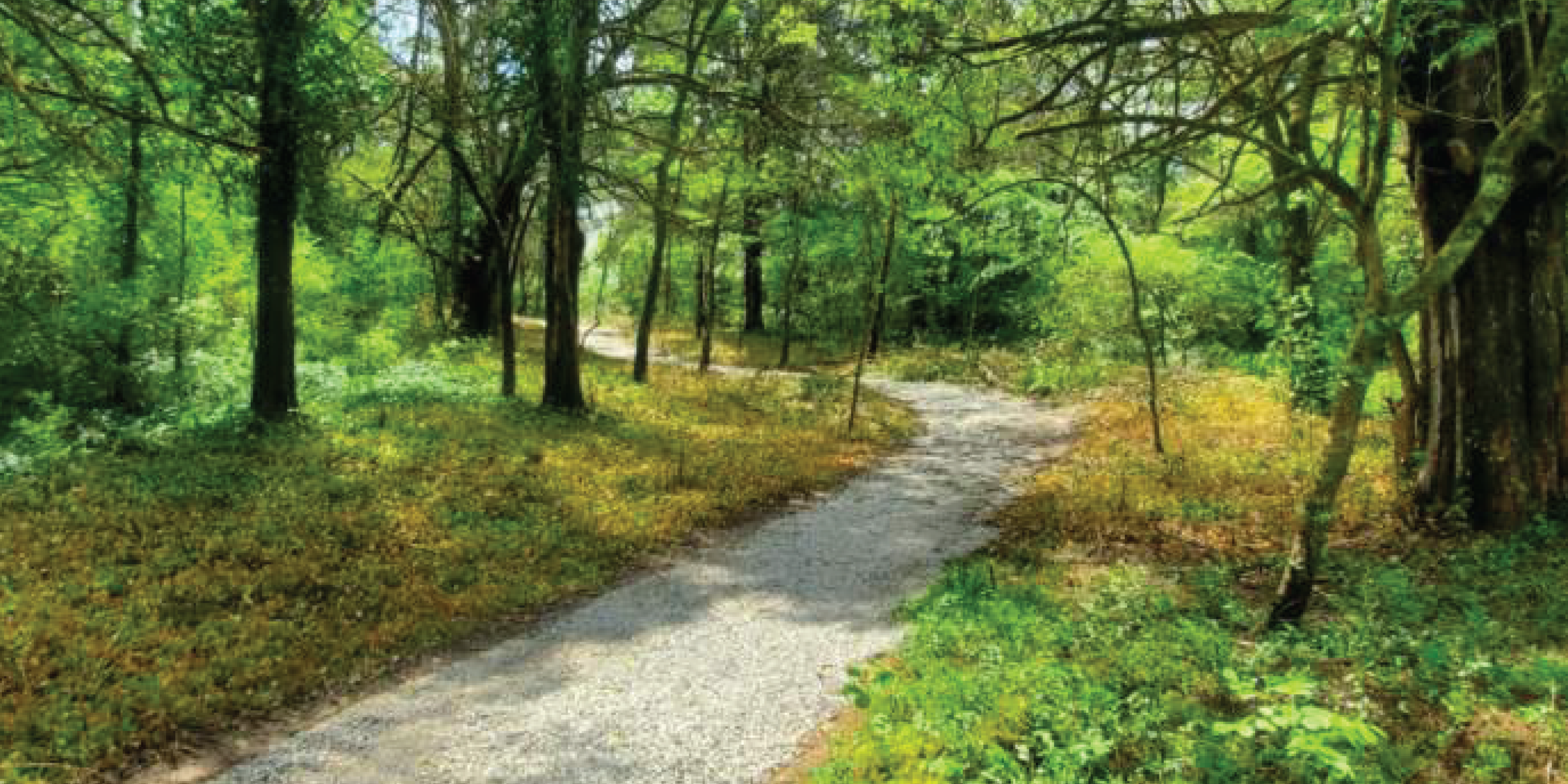 trail-01