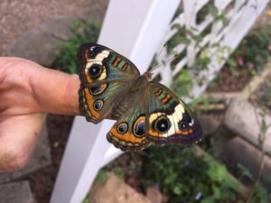 thumbnail_IMG_6253