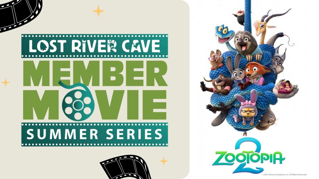 Movie Night: Zootopia 2