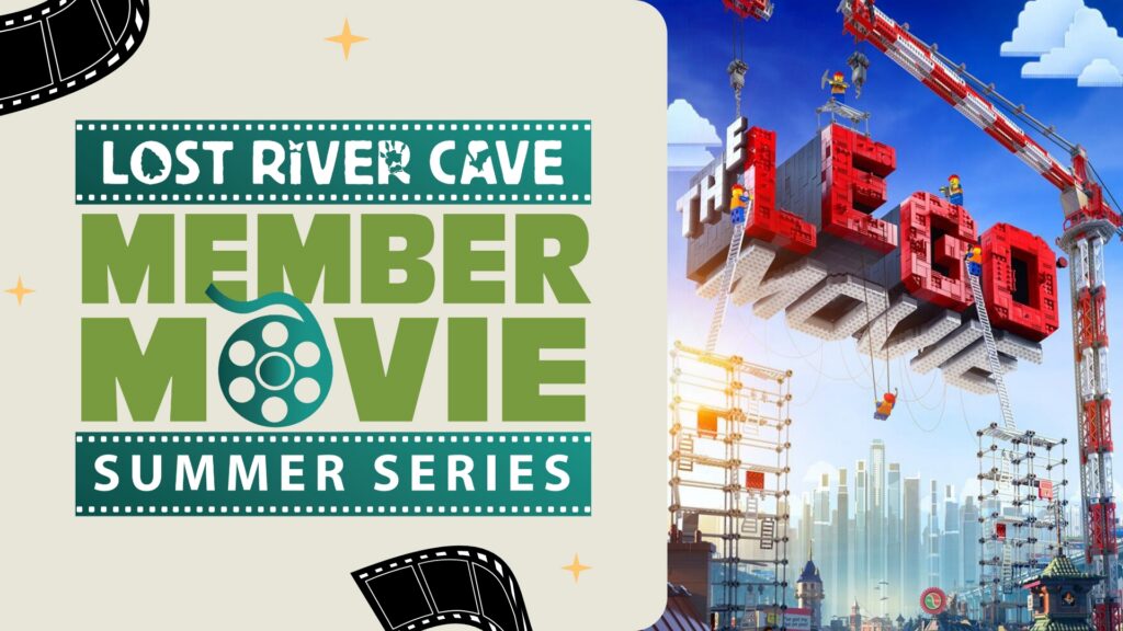 Movie Night: The Lego Movie