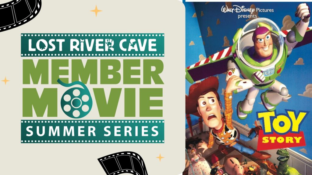 Movie Night: Toy Story