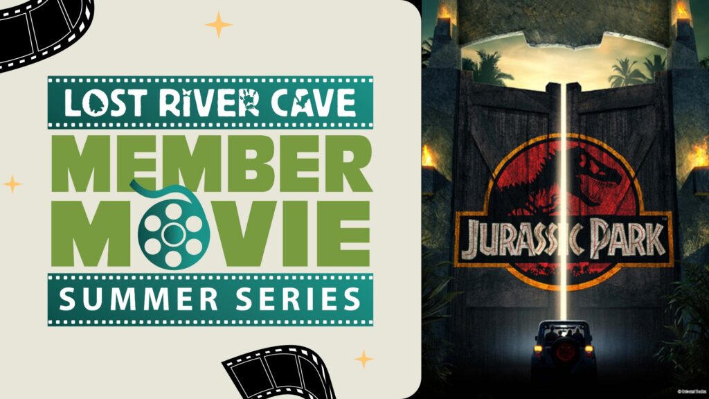 Movie Night: Jurassic Park